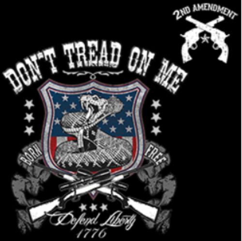 Wholesale HEAT shirt TRANSFER defend liberty 2nd amendment