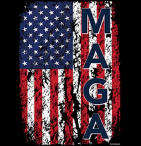 Wholesale HEAT Shirt TRANSFER MAGA Design with USA Flag