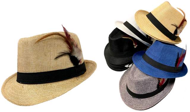 Wholesale Fedora HATs Solid Assorted Colors with feather