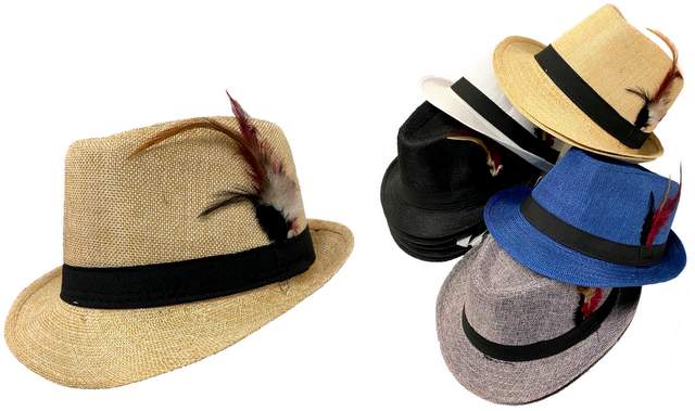 Wholesale Fedora HATS Solid Assorted Colors with feather