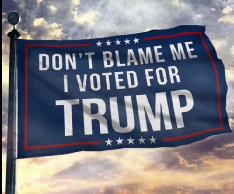 Don't Blame On Me I Voted for Trump FLAG