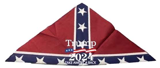 Wholesale Trump 2024 Take America BackRebel BANDANA