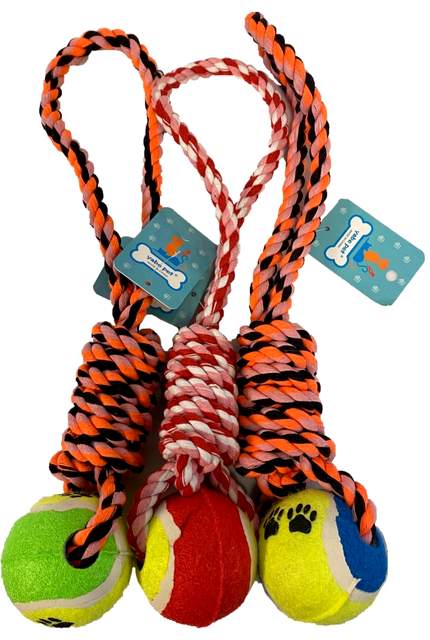 Dog Puppy Pet Braided Bone Rope with Ball TOY