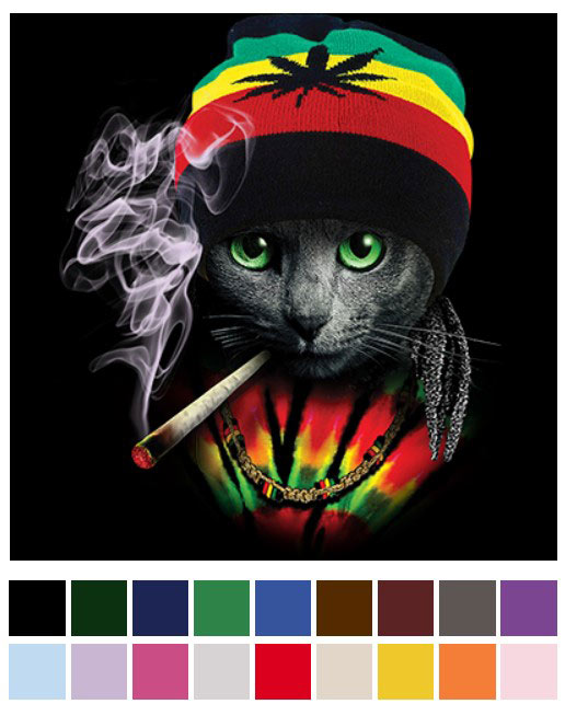 Wholesale Transfer RASTA CAT