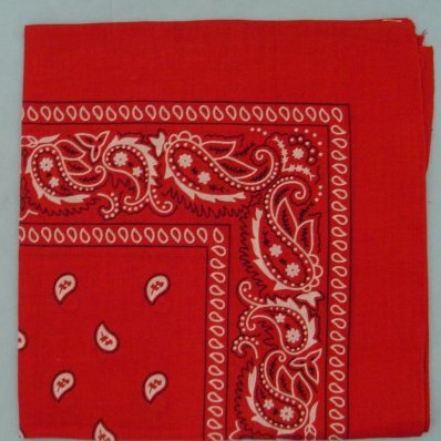 Wholesale Bandana Red Paisley Fabric