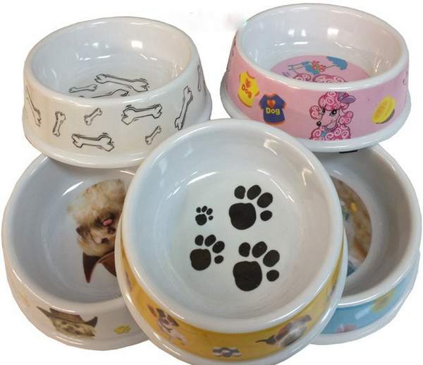 Wholesale DOG Bowl