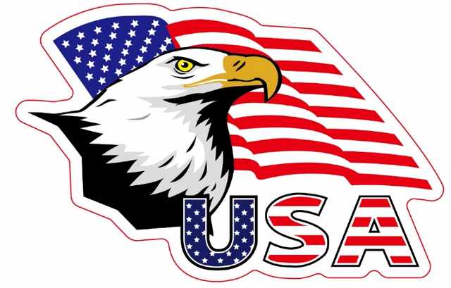 USA Eagle Car Bumper REFRIGERATOR Reusable MAGNET