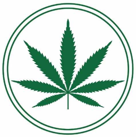 Car & REFRIGERATOR MAGNET Cannabis Leaf Marijuana