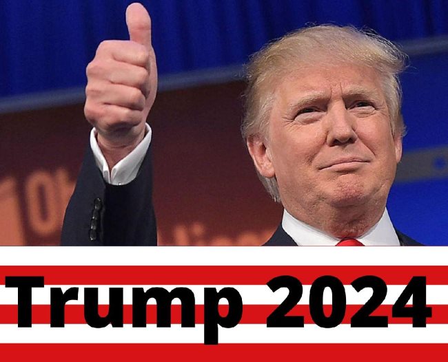 Wholesale Trump 2024 Bumper STICKER