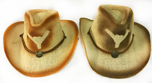 Wholesale Mesh Cowboy HAT with Bull Horn and Medallion Assorted