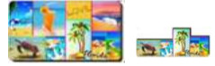 Florida Turtle, Beach, Cocktails 3D MAGNET
