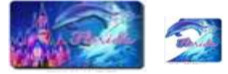 Florida DISNEY Magic Kingdom Castle & Dolphin 3D Magnet