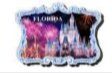Florida DISNEY Magic Kingdom Castle Framed Nighttime Magnet