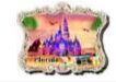 Florida DISNEY Magic Kingdom Castle Framed Daytime Magnet