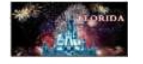 Florida DISNEY Magic Kingdom Castle Magnet