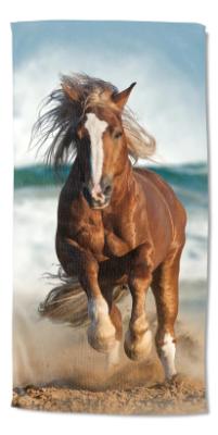 Running Horse - (30x60)