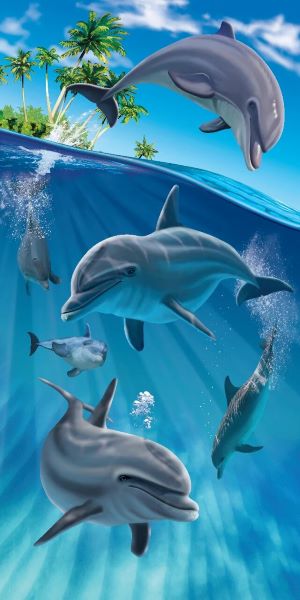 Island Dolphins - (30x60)