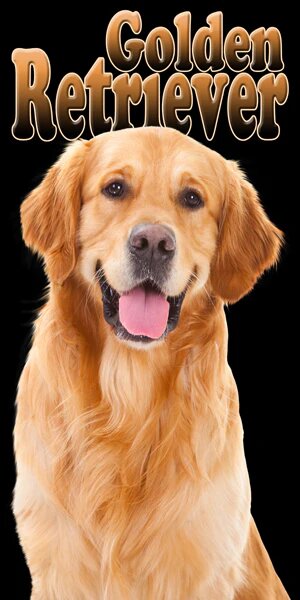 Golden Retriever - (30x60)
