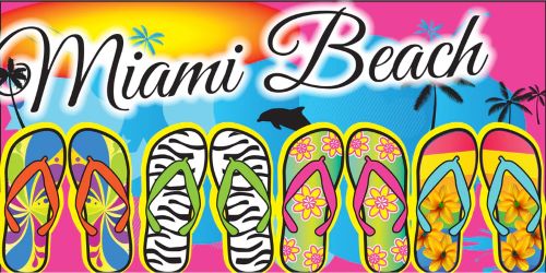 Fun FLIP FLOPS Miami - (30x60)
