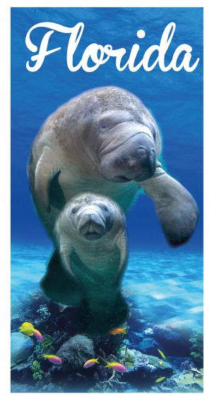 Florida Manatee - (30x60)