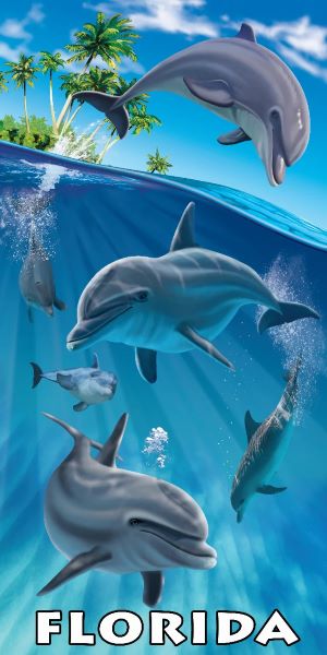 Island Dolphins FL - (30x60)
