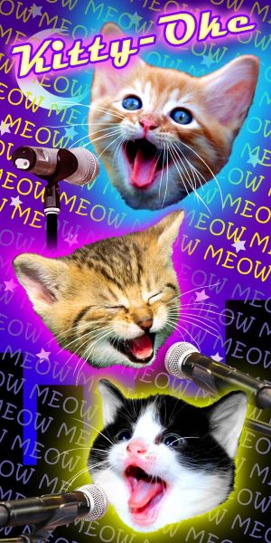 Kitty Oke - (30x60)