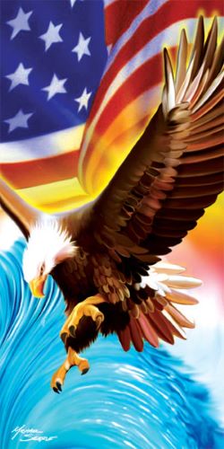 Patriotic Bald Eagle - (30x60)