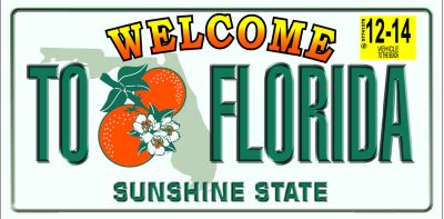 Florida Plate - (30x60)