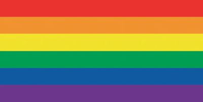 Rainbow FLAG - (30x60)