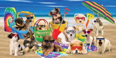 Cool Dogs (30x60)