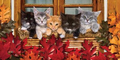 Kitty Cats - (30x60)