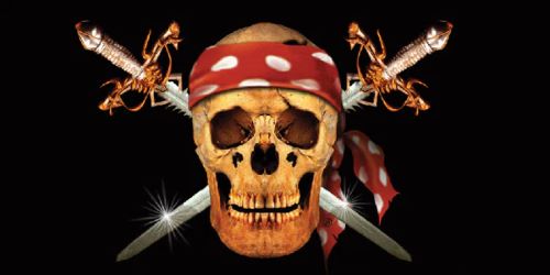 Pirate - (30x60)