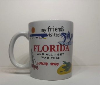 Florida souvenir mug