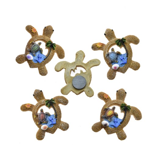 Ocean Sand Sea Shells Turtle Magnets