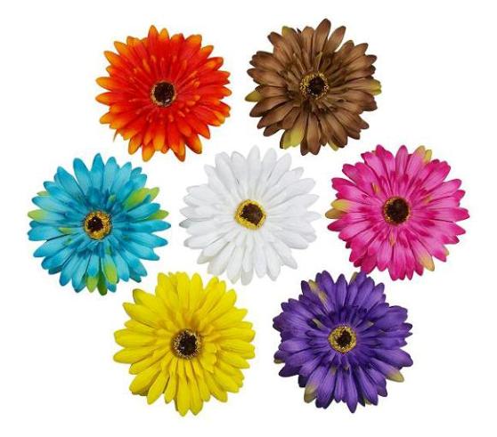 SUN Flower Hair Clips
