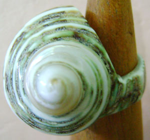 Shell RING