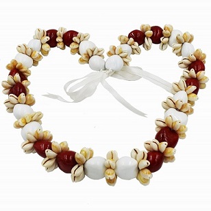 Cowrie Shell With White/Red  Kukui Nut Lei/NECKLACE