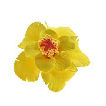 Double Hibiscus Flower With HAIR CLIPs