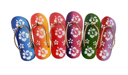 Hibiscus FLOWER Sandal Magnet