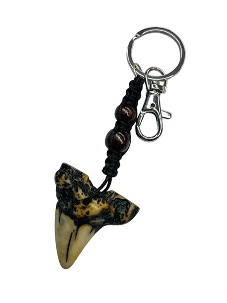 Shark's Tooth PENDANT Key Chains