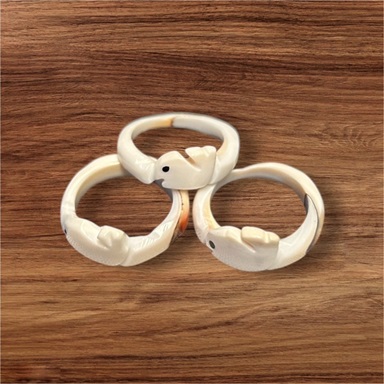 Dolphin Shell RING