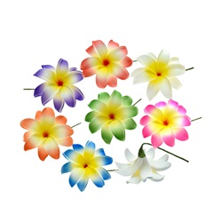 Double Plumeria Fimo FLOWER Hair Sticks