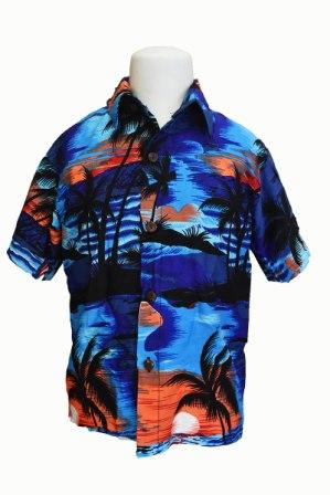 Sunset Blue and Red Aloha Boy's SHIRT  L/XL