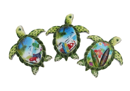 Turtle Magnet