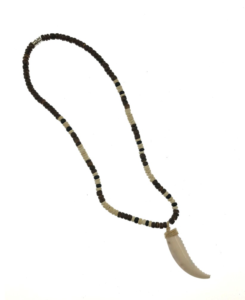 Coconut With Shell Horn Pendant NECKLACE