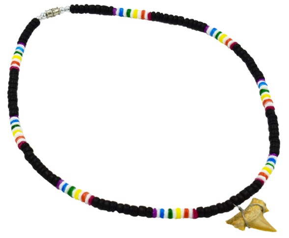 RAINBOW Black Coco With Real Fossil Sharks Tooth Pendant Necklace