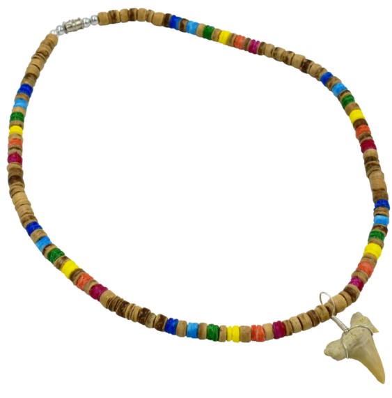 RAINBOW Tiger Coco With Real Fossil Sharks Tooth Pendant Necklace