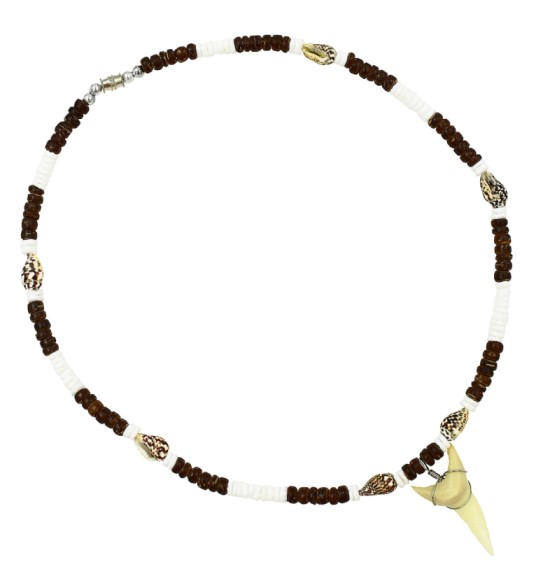 Brown Coconut With Tiger Nassa Shell Sharks Tooth NECKLACE