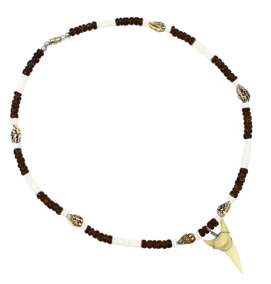 BROWN Coconut With Tiger Nassa Shell Sharks Tooth Necklace