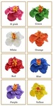 Double Hibiscus FLOWER With Hair Clips